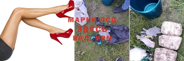 ПСИЛОЦИБИНОВЫЕ ГРИБЫ Алексеевка