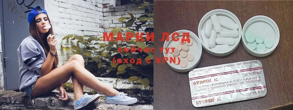 ПСИЛОЦИБИНОВЫЕ ГРИБЫ Алексеевка