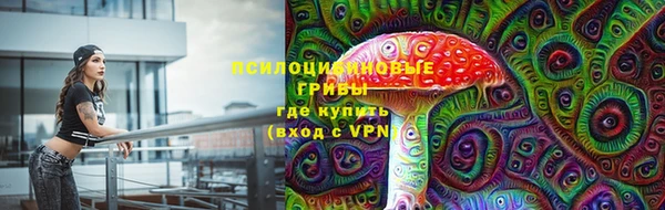 ПСИЛОЦИБИНОВЫЕ ГРИБЫ Алексеевка