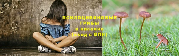 ПСИЛОЦИБИНОВЫЕ ГРИБЫ Алексеевка