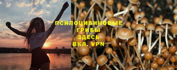 марки lsd Алзамай